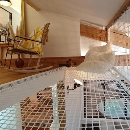 Le Marechal Duplex - Avec Jacuzzi - Hyper Centre * Caen