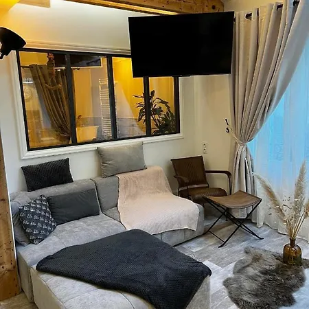 Le Marechal Duplex - Avec Jacuzzi - Hyper Centre Apartment *