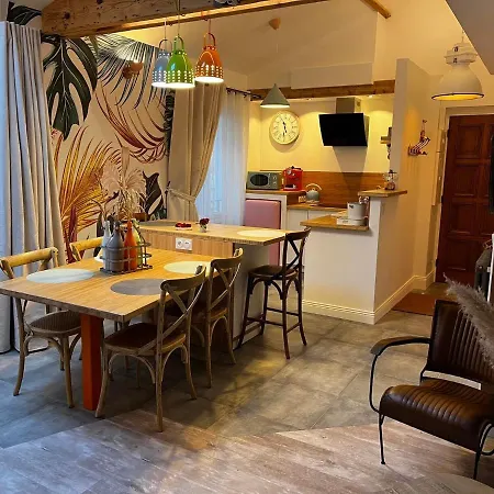 Le Marechal Duplex - Avec Jacuzzi - Hyper Centre Apartment *