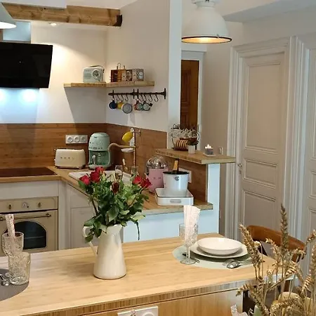 Le Marechal Duplex - Avec Jacuzzi - Hyper Centre