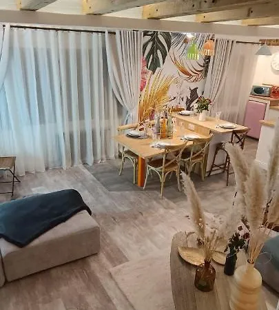 Le Marechal Duplex - Avec Jacuzzi - Hyper Centre Caen