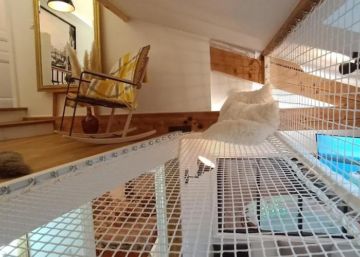 Le Marechal Duplex - Avec Jacuzzi - Hyper Centre * 凯恩