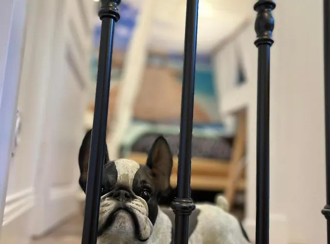 公寓 Le Marechal Duplex - Avec Jacuzzi - Hyper Centre 凯恩